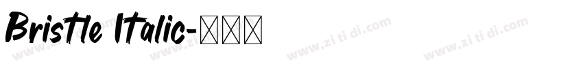 Bristle Italic字体转换 Bristle Italic字体转换